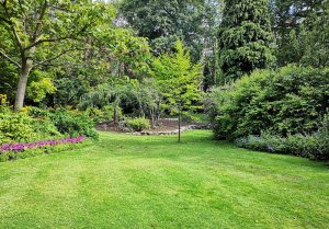 Optimiser l'expérience du jardin à Villiers-les-Hauts